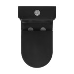 Calice Two-Piece Elongated Rear Outlet Toilet Dual-Flush 0.8/1.28 gpf, Black
