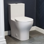 Sublime II Two-Piece Round Toilet Dual-Flush 0.8/1.28 gpf