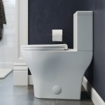 Sublime II Two-Piece Round Toilet Dual-Flush 0.8/1.28 gpf