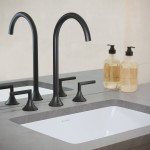 Daxton 8 in. Widespread Bathroom Faucet in Matte Black