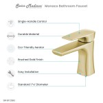 Monaco Single Hole, Single-Handle, Bathroom Faucet in Brushed Gold