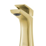 Monaco Single Hole, Single-Handle, Bathroom Faucet in Brushed Gold