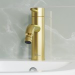 Swiss Madison Ivy Bidet Faucet in Brushed Gold