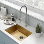 Rivage 23 x 18 Stainless Steel, Single Basin, Undermount Kitchen Sink, Gold