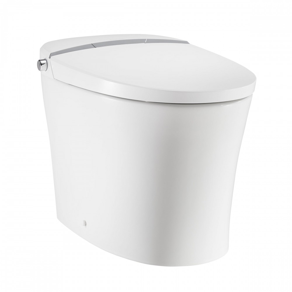 Intelligent Tankless Elongated Toilet and Bidet, Touchless Dual Flush 1.1/1.6gpf