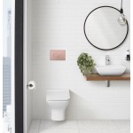 Swiss Madison Swiss Madison Wall Mount Dual Flush Actuator plate in Rose Gold