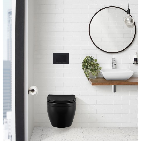 Wall Mount Dual Flush Actuator plate in Matte Black