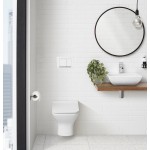 Wall Mount Dual Flush Actuator plate with Square Push Buttons in White