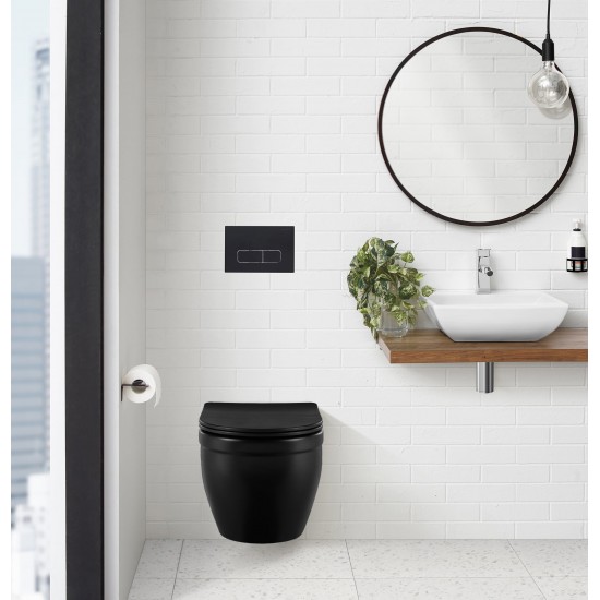 Wall Mount Dual Flush Actuator Plate with Rectangle Push Buttons in Matte Black
