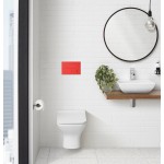 Wall Mount Dual Flush Actuator Plate with Rectangle Push Buttons in Matte Red