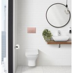 Wall Mount Dual Flush Actuator Plate with Rectangle Push Buttons in Rose Gold