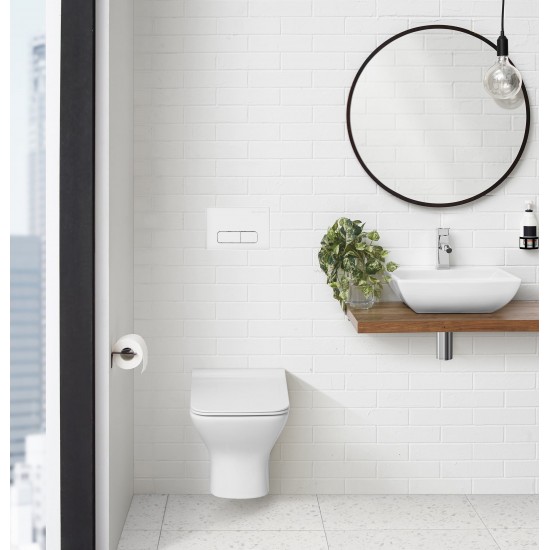 Wall Mount Dual Flush Actuator Plate with Rectangle Push Buttons in White