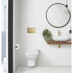 Wall Mount Dual Flush Actuator Plate with Rectangle Push Buttons, Brushed Brass