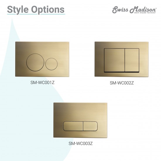 Wall Mount Dual Flush Actuator Plate with Rectangle Push Buttons, Brushed Brass