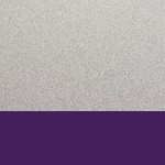 Rainbow Accents Toddler Pick-a-Book Stand - Purple