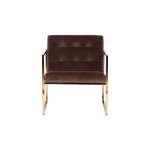 Lexington Tufted Velvet Accent Armchair With Gold Frame, Coffee Brown, LA18BR