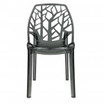 LeisureMod Modern Cornelia Dining Chair, Transparent Black, C18TBL