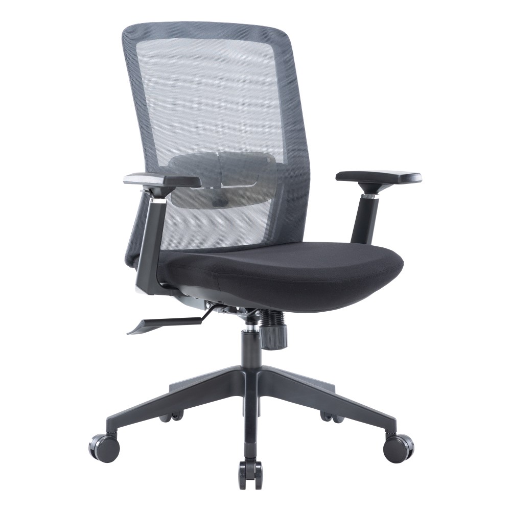 Ingram Modern Office Task Chair with adjustable armrests, Grey, IO20GR