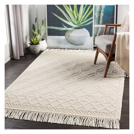 Surya Casa DeCampo CDC-2302 2'3" x 3'9" Rug