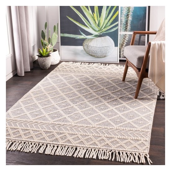 Surya Casa DeCampo CDC-2304 2'3" x 3'9" Rug