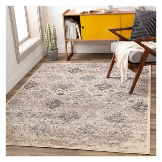 Surya Amadeo ADO-1018 2' x 3'7" Rug