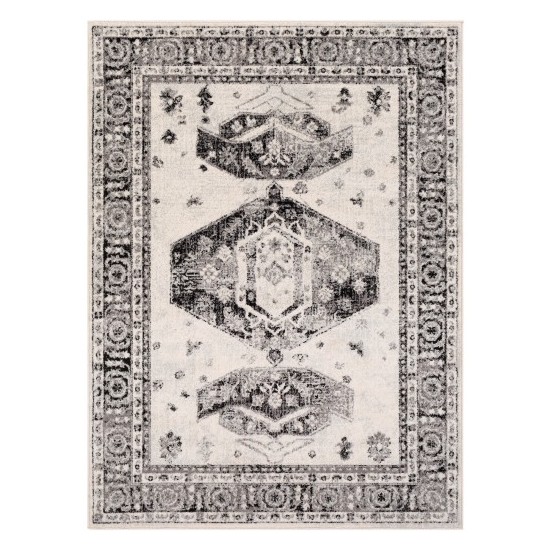 Surya Chester CHE-2324 5'3" x 7'3" Rug