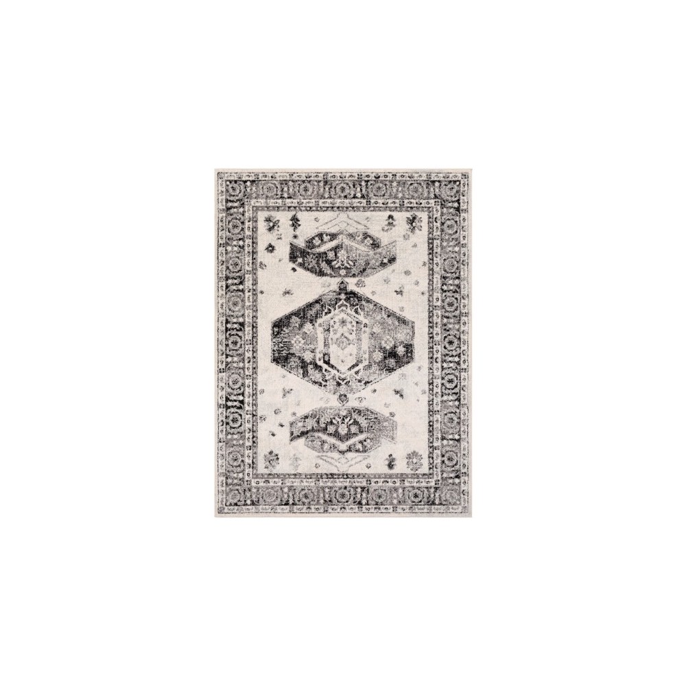 Surya Chester CHE-2324 5'3" x 7'3" Rug Surya Chester CHE-2324 5'3" x 7'3" Rug