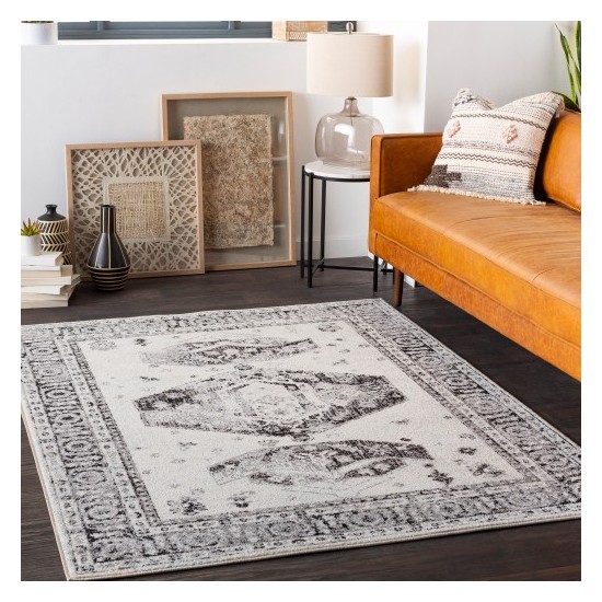 Surya Chester CHE-2324 5'3" x 7'3" Rug