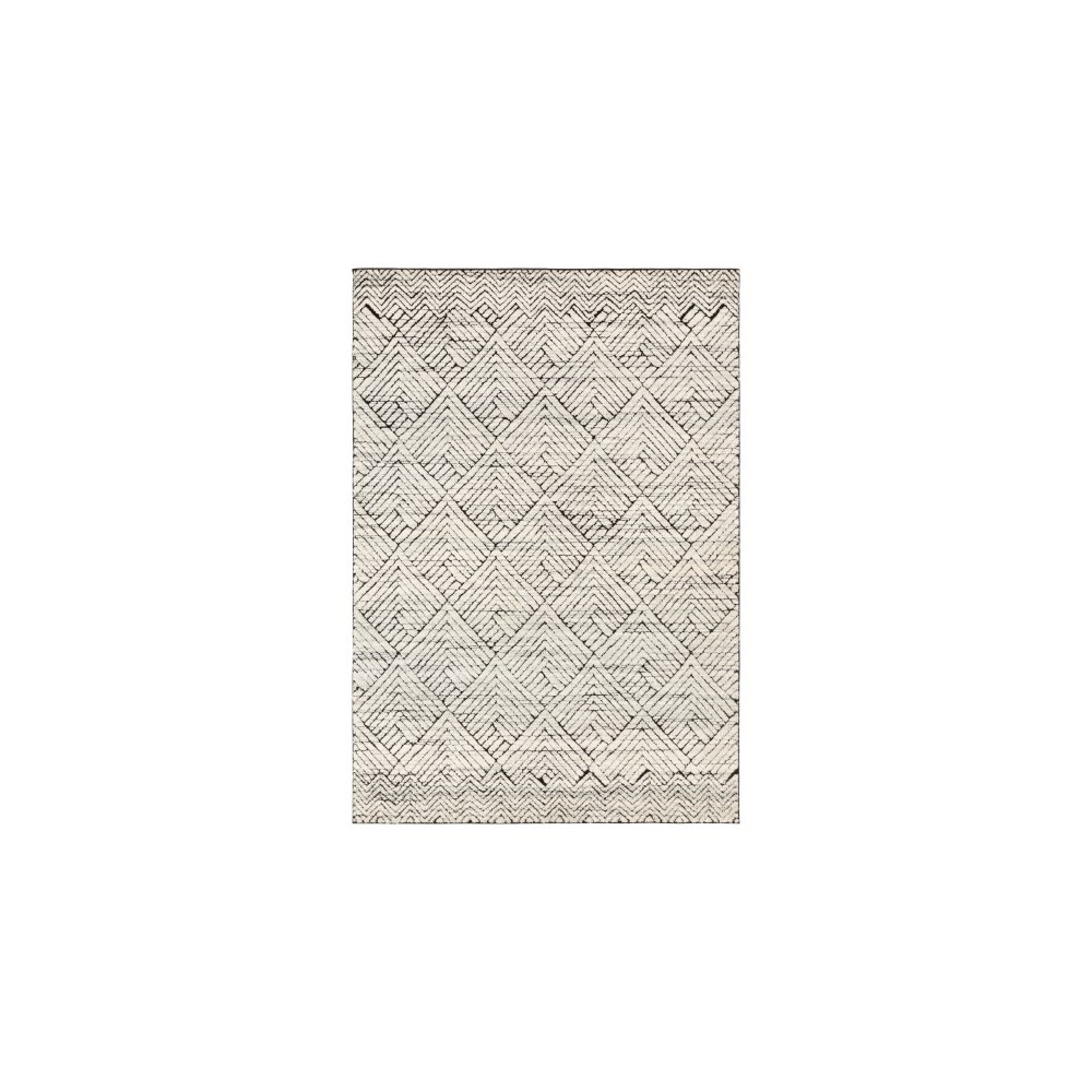 Surya Dersim DSM-2310 6'7" x 9' Rug