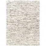 Surya Fanfare FAF-1004 2' x 2'11" Rug