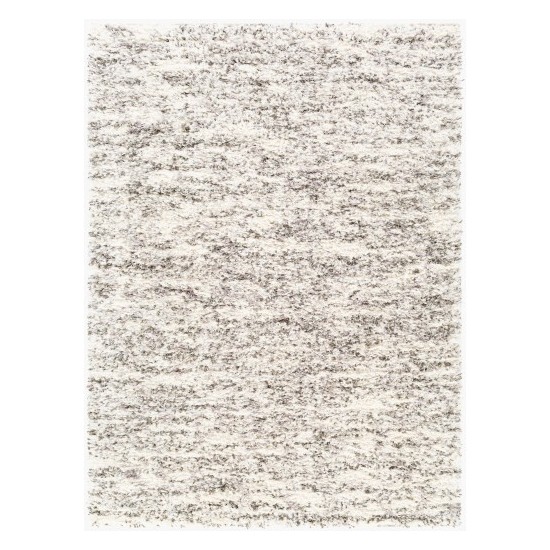 Surya Fanfare FAF-1004 2' x 2'11" Rug