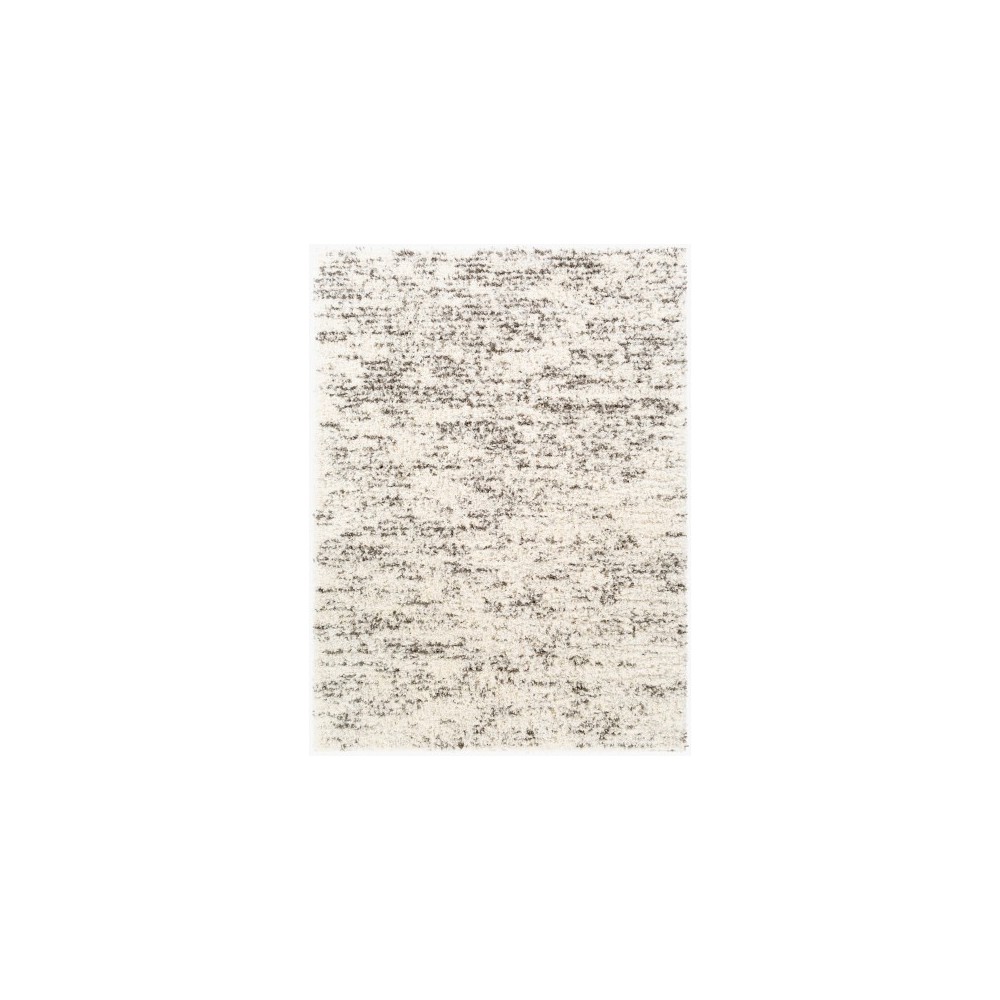 Surya Fanfare FAF-1006 2' x 2'11" Rug