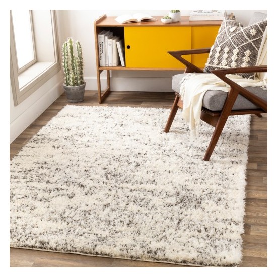 Surya Fanfare FAF-1006 2' x 2'11" Rug