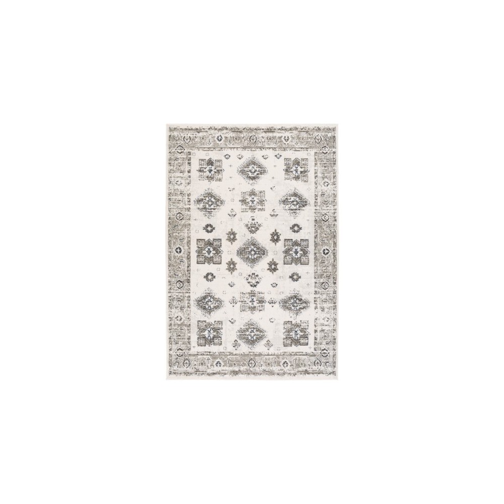 Surya Skagen SKG-2308 2' x 2'11" Rug