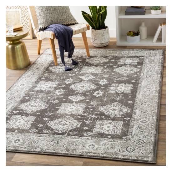 Surya Skagen SKG-2309 2' x 2'11" Rug