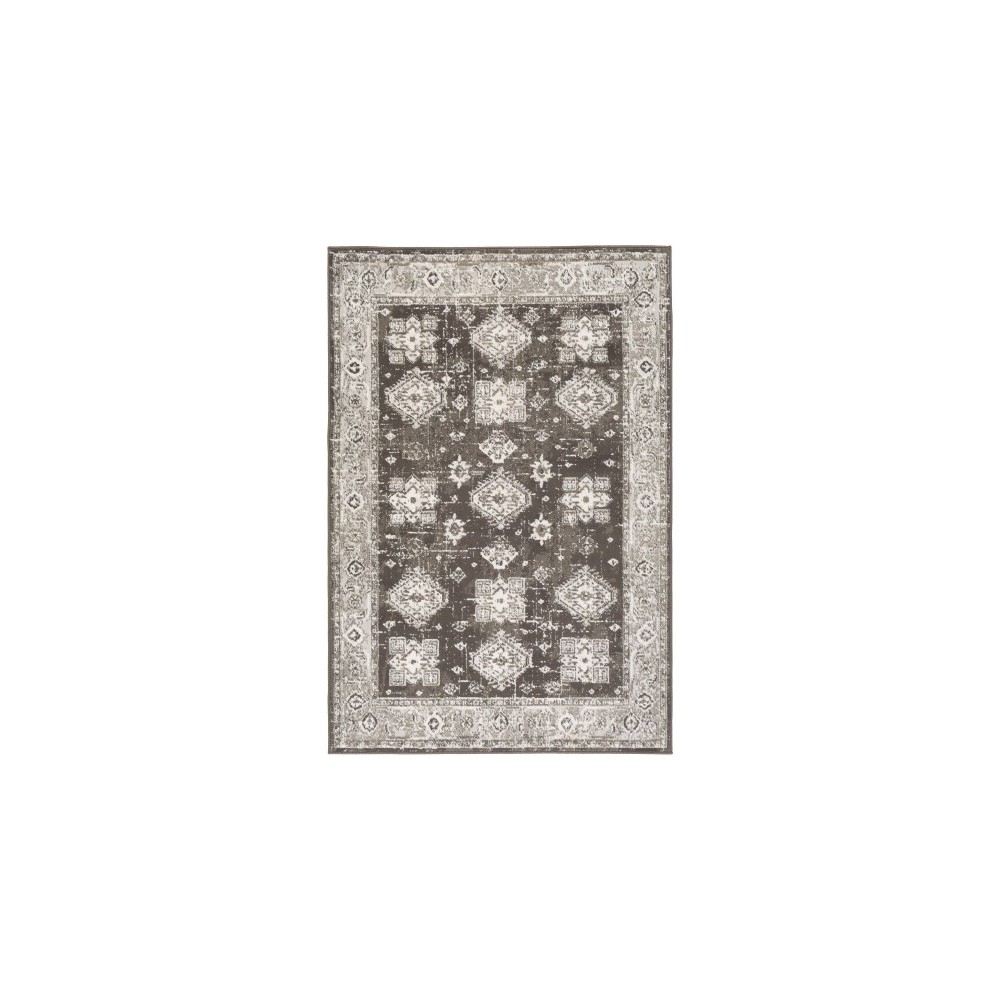 Surya Skagen SKG-2309 5'3" x 7'3" Rug