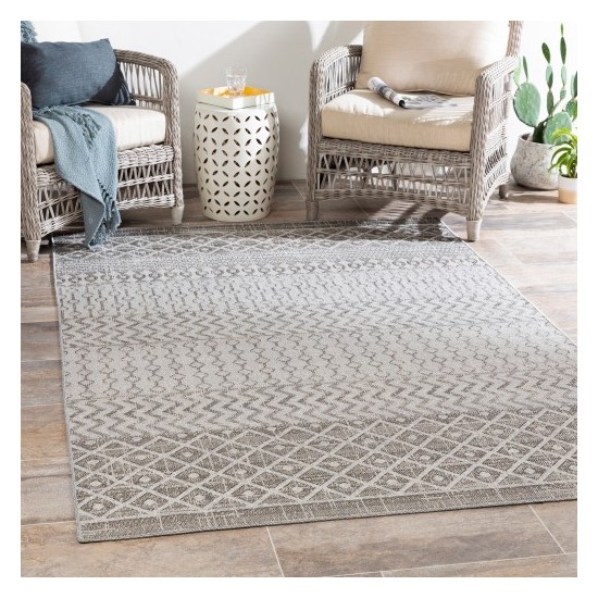 Surya Veranda VRD-2305 5'3" x 7'3" Rug