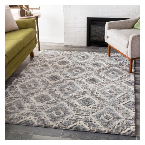 Surya La Maison LMS-2304 2' x 3' Rug