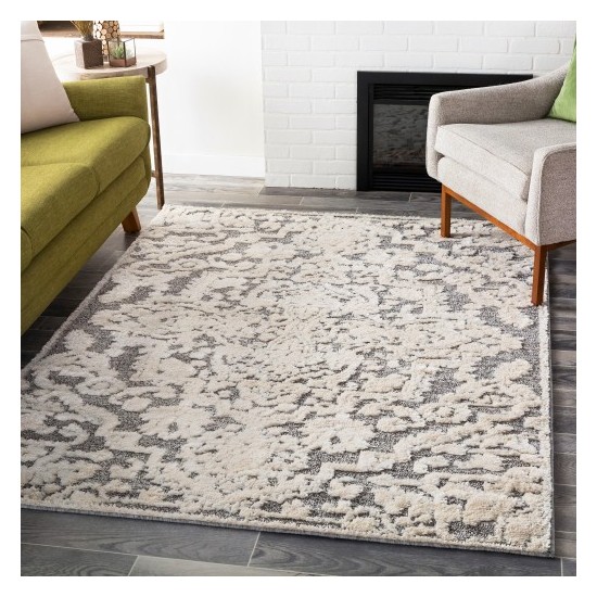 Surya La Maison LMS-2306 2' x 3' Rug