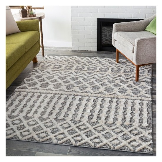 Surya La Maison LMS-2307 2' x 3' Rug