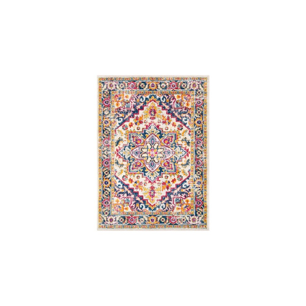 Surya Norwich NWC-2302 8'10" x 12' Rug