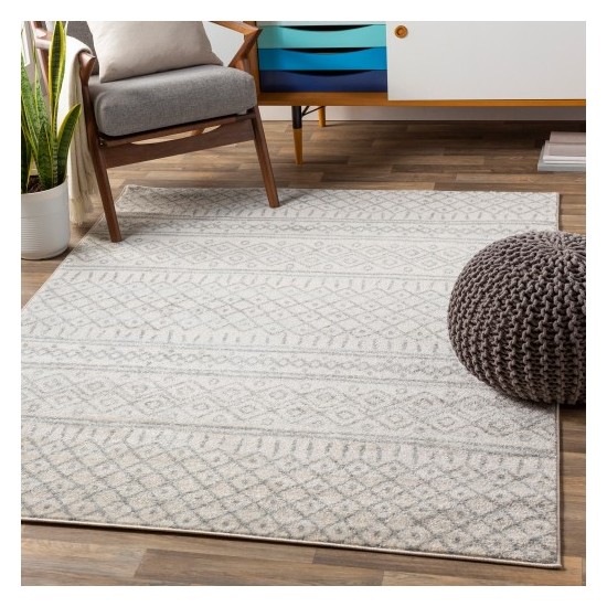 Surya Norwich NWC-2303 8'10" x 12' Rug