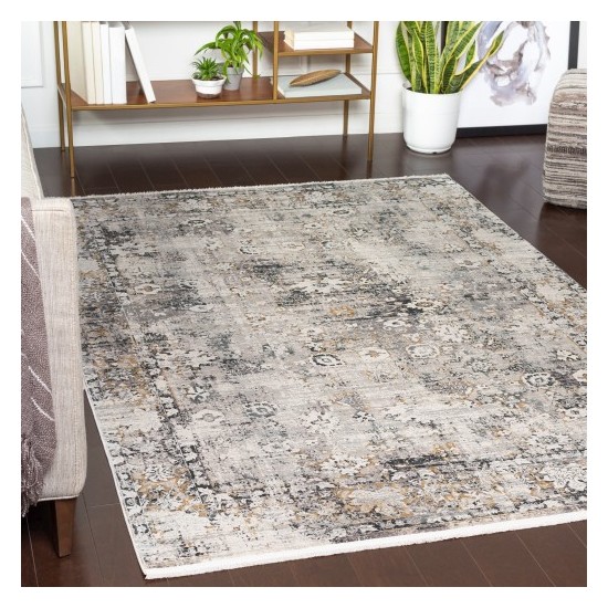 Surya Solar SOR-2308 10' x 14' Rug