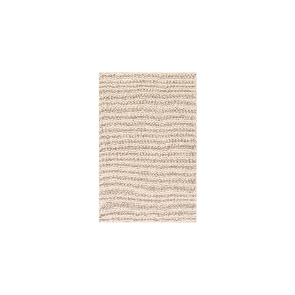 Surya Como COO-2301 2' x 3' Rug