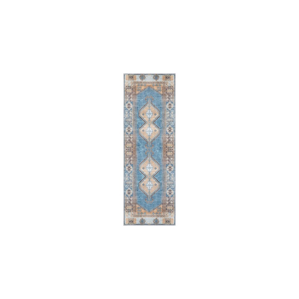 Surya Antiquity AUY-2301 2'7" x 7'3" Rug