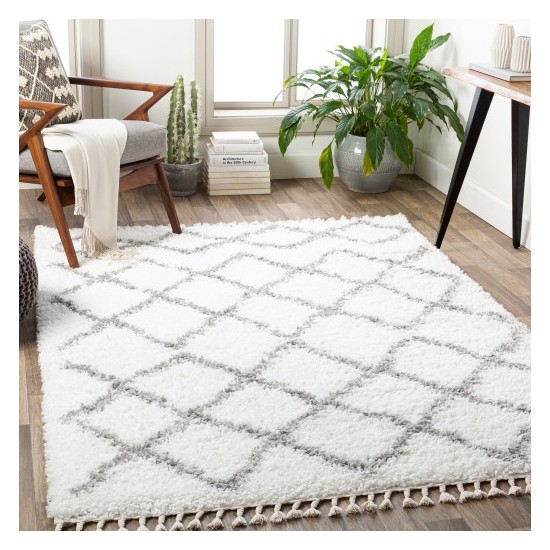 Surya California Shag CAF-2301 5'3" x 7'3" Rug