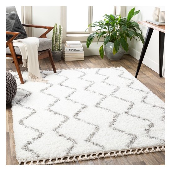 Surya California Shag CAF-2302 5'3" x 7'3" Rug