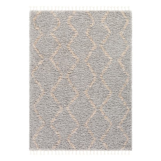 Surya California Shag CAF-2303 5'3" x 7'3" Rug