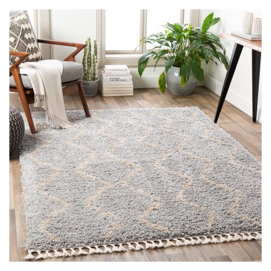 Surya California Shag CAF-2303 5'3" x 7'3" Rug