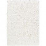 Surya California Shag CAF-2306 5'3" x 7'3" Rug